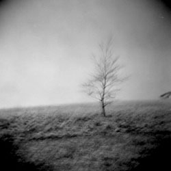 Poetic landscape photography by Jo Thorne